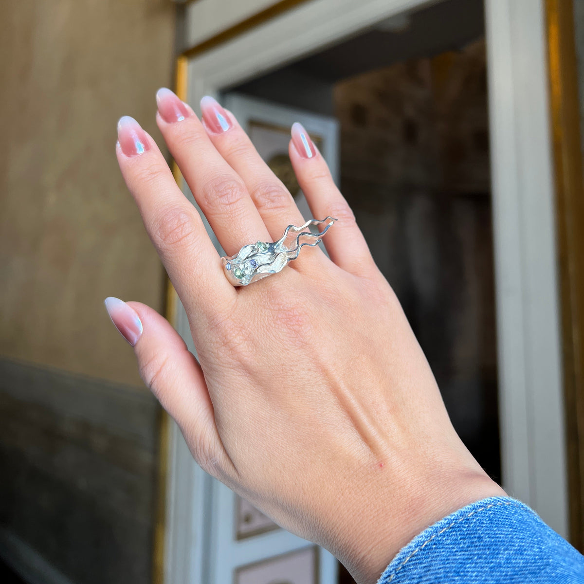 anillo er01
