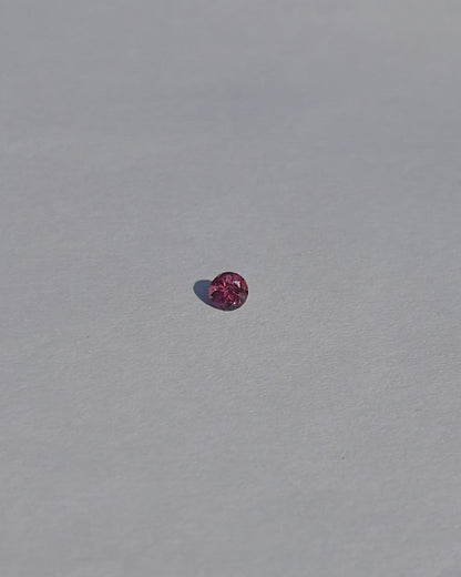 collar n05 + inicial